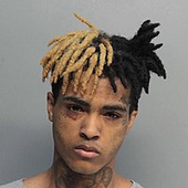 Trapground 的头像