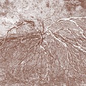 DRM4104_art.jpg