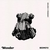 wonder album art!!