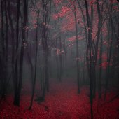 Ostentiferous