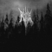 avatars-2pbKjtDE3y0JLhjb-vqoo9Q-t500x500.jpg