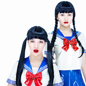 FEMM