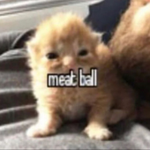 JontyAli 的头像