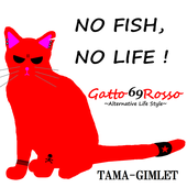 Gatto-Rosso 的头像