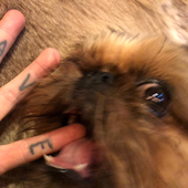 p-p-n 的头像
