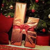 We Did It In The Name of Love