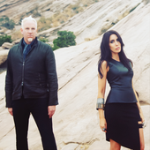 Kidneythieves