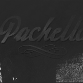Pachello 的头像