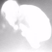 40E2D878-493B-4D30-BBB4-8006FCE74AFF.jpeg