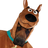 scoobiefan 的头像