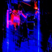 a2674495306_10.jpg