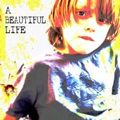 A Beautiful Life