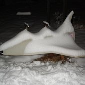 Snowbound Space Shuttle