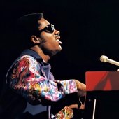 Stevie Wonder