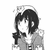 Avatar for catamerann