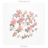 Santo Trevisani speechless.jfif