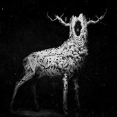 Haunting Deer