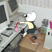 tsukinok0 的头像