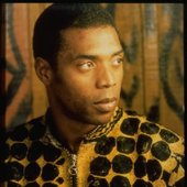 femi kuti