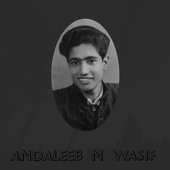Andaleeb M. Wasif