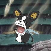 Yupississippi 的头像