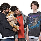 AnimalCollective.jpg