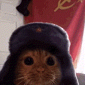 Avatar for One_Cat