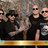 in the shadow of our pale koala