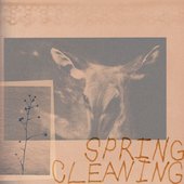 Spring Cleaning