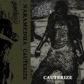 CAUTERIZE