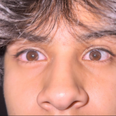 Spotify picture.PNG