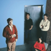 The Magnetic Fields