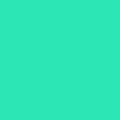 mint.jpg