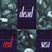 Dead Red Sea