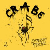 Expression radicale