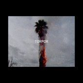 torpor