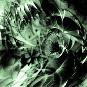 Avatar for trashman_MV