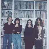 The Lemonfrogs Spotify Cover