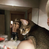 tenleetaemin 的头像
