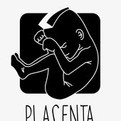 Placenta (Russian electronic project).jpg