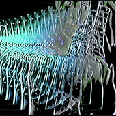 118288321_138871767894556_2819606469252383202_n.png