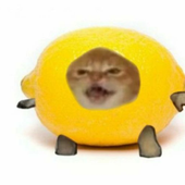 Lemon_x0x 的头像