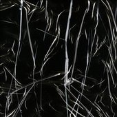 0035773260_10.jpg
