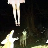 An Appeal to Heaven (Beats to Start a Cult To)