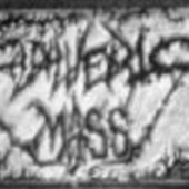 logo11.jpg