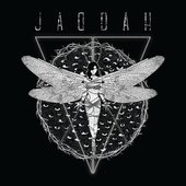 Jaddah