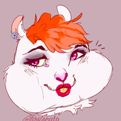 Avatar for DameHamster