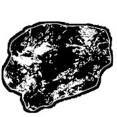 bowelnecrosis.jpg