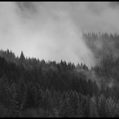 The Everhaunting Dreams Of The Giant