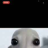 leeleeleeuh 的头像